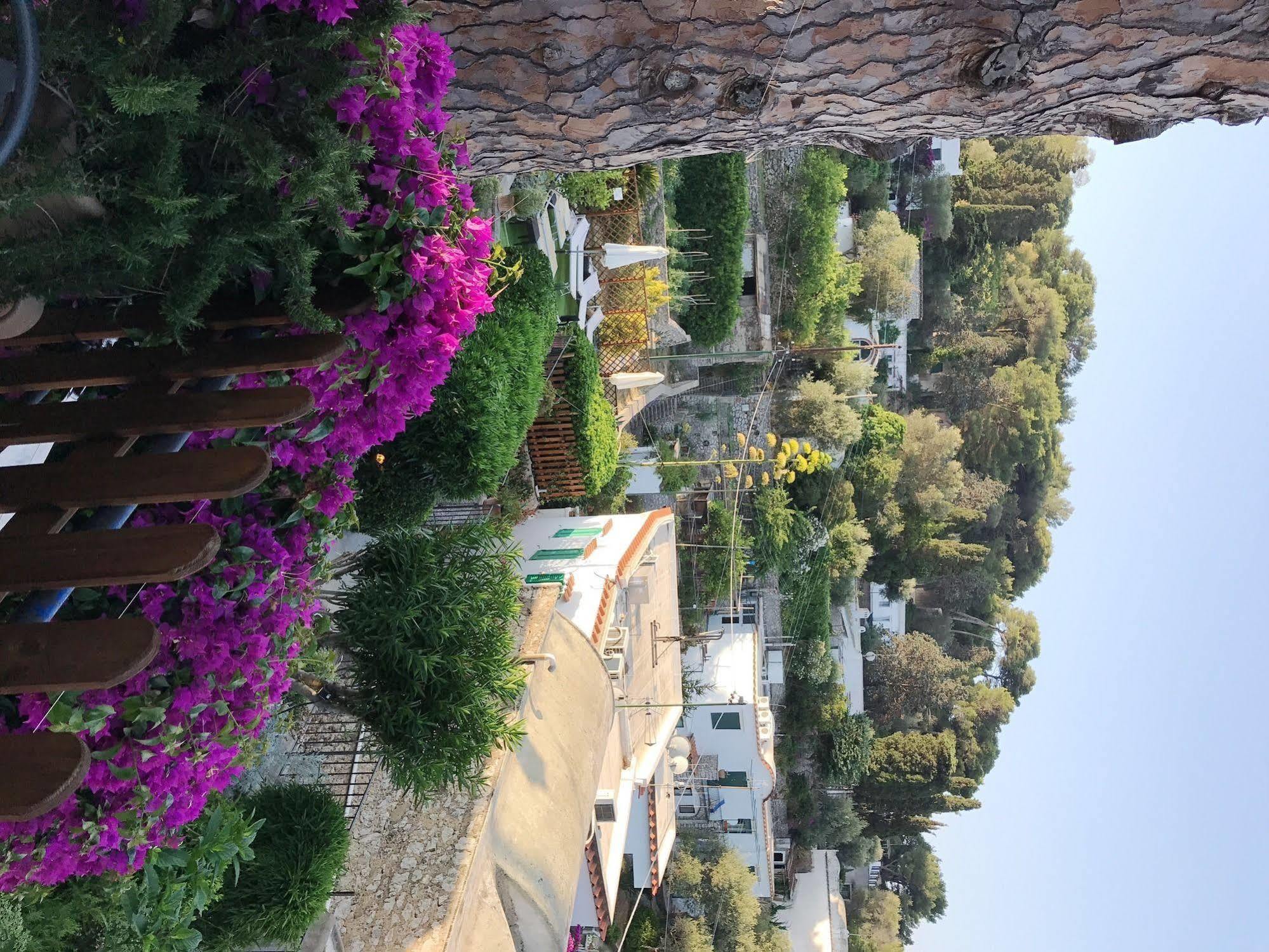Hotel La Reginella 2*